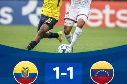 开云体育APP下载-关于波兰不敌瑞典，出线形势岌岌可危的信息