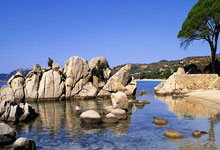 开云体育官方网站-阿尔希拉尔赛前战术会议，细节决定比赛胜负