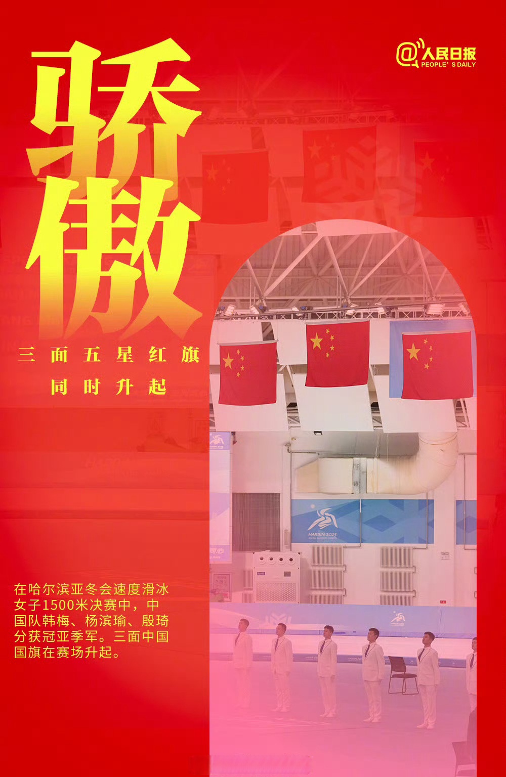奋勇拼搏，瑞士代表队勇夺金牌的简单介绍
