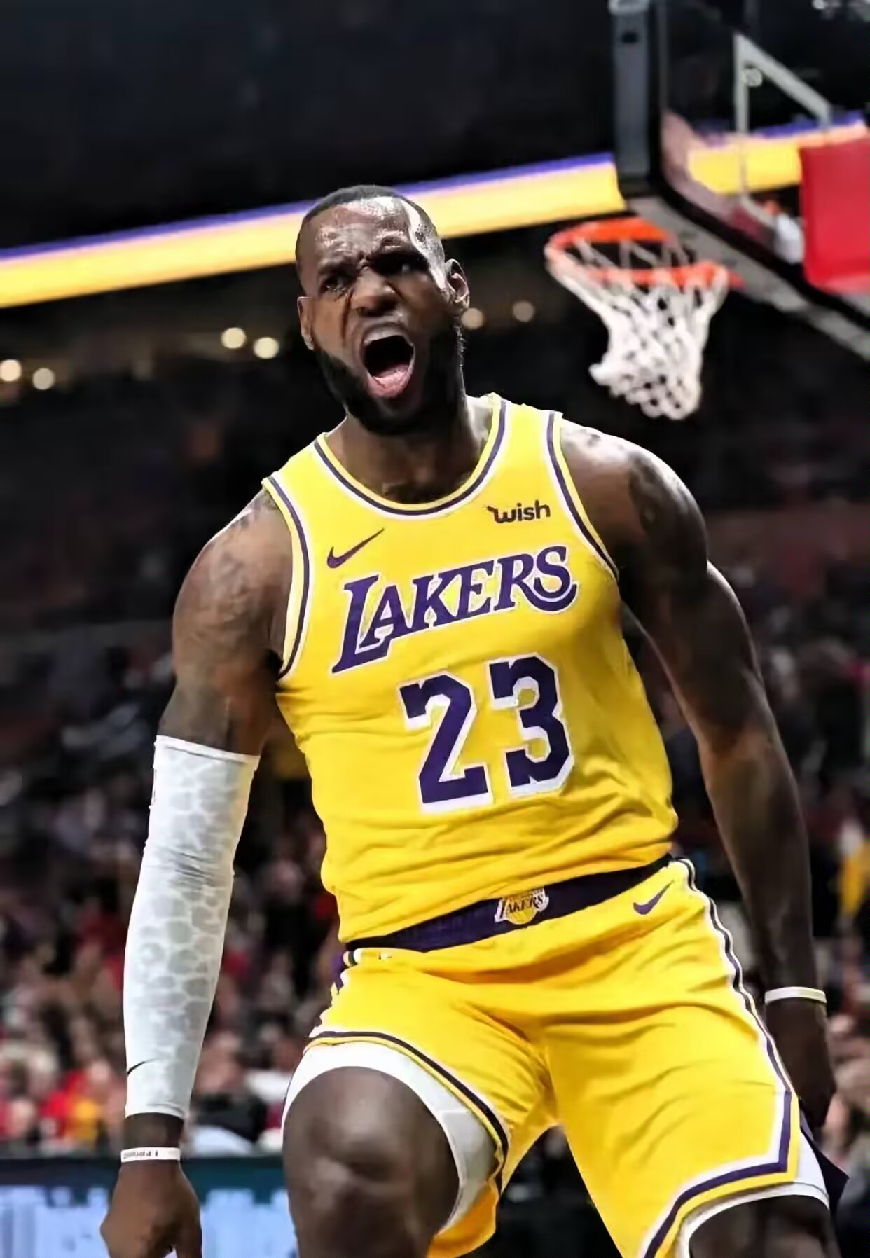 湖人逆转灰熊，詹姆斯神奇三分绝杀！的简单介绍